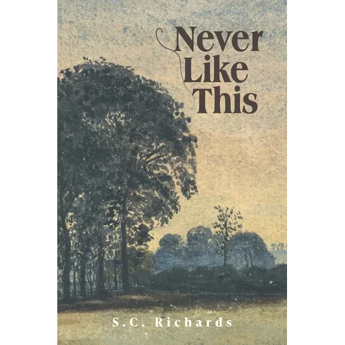Never Like This - Paperback