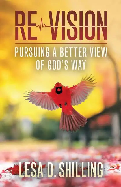 Re-Vision: Pursuing a Better View of God's Way - Paperback