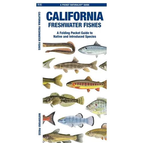 California Freshwater Fishes: A Folding Pocket Guide to Native and Introduced Species - Paperback