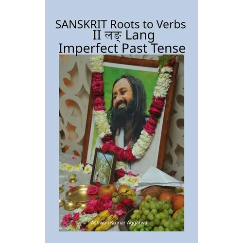 Sanskrit Roots to Verbs II Lang Imperfect Past Tense - Hardcover