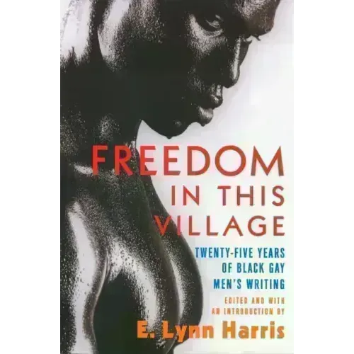 Freedom in This Village: Twenty-Five Years of Black Gay Men's Writing, 1979 to the Present - Paperback