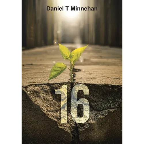 16 - Paperback