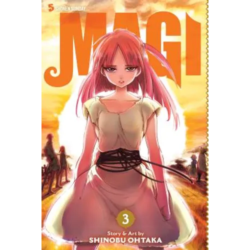 Magi: The Labyrinth of Magic, Vol. 3: The Labyrinth of Magic - Paperback