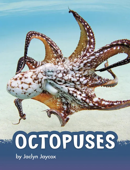 Octopuses - Hardcover
