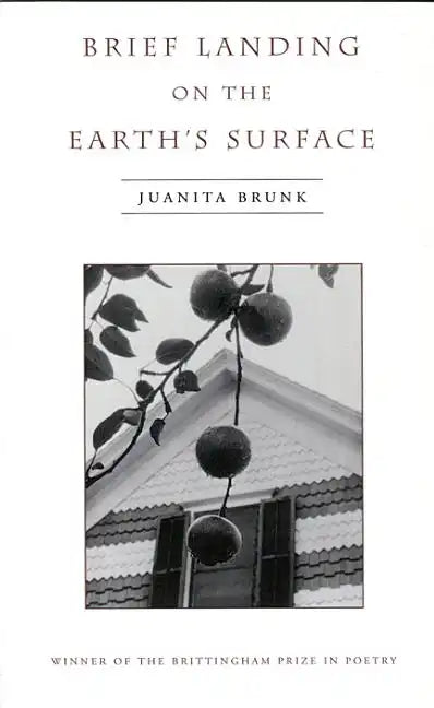 Brief Landing on the Earth's Surface: Volume 1996 - Paperback