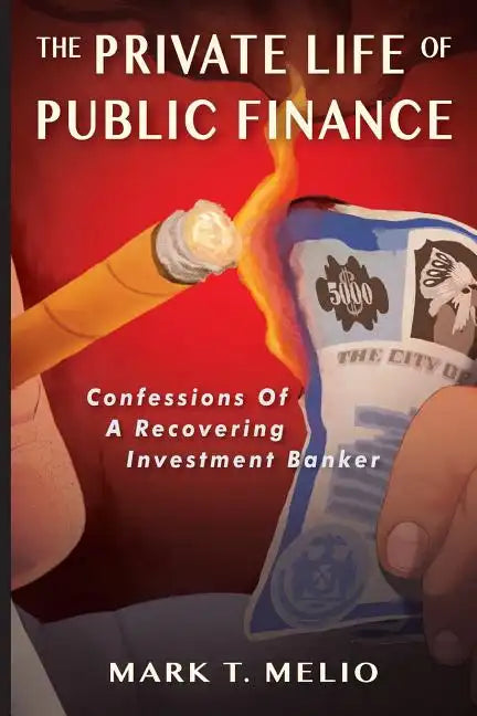 The Private Life of Public Finance: Confessions of a Recovering Investment Banker - Paperback