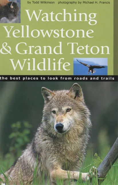 Watching Yellowstone & Grand Teton Wildlife - Paperback