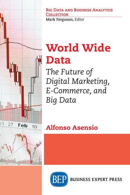 World Wide Data: The Future of Digital Marketing, E-Commerce, and Big Data - Paperback