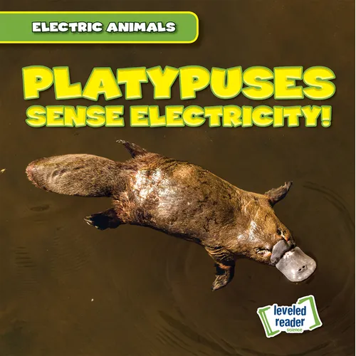 Platypuses Sense Electricity! - Library Binding