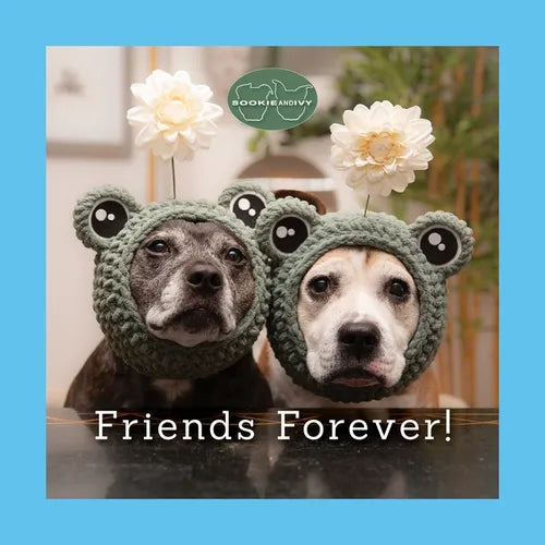 Sookie and Ivy Friends Forever! - Hardcover