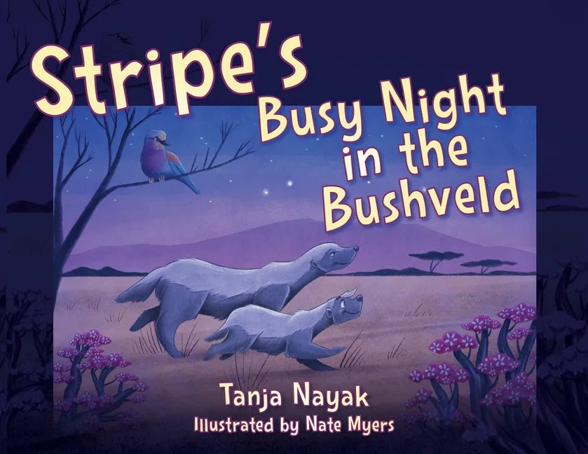 Stripe's Busy Night in the Bushveld - Paperback