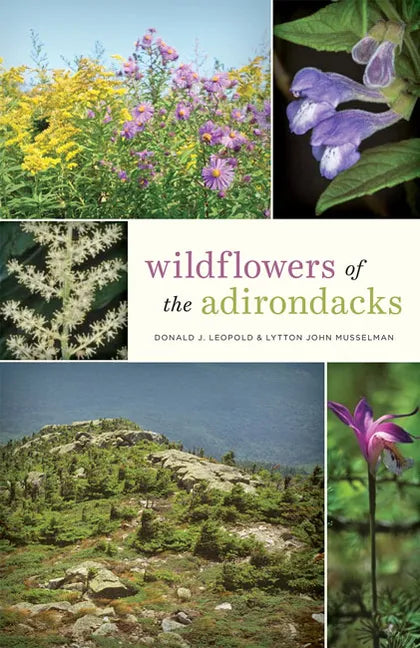 Wildflowers of the Adirondacks - Paperback