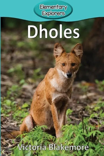 Dholes - Paperback