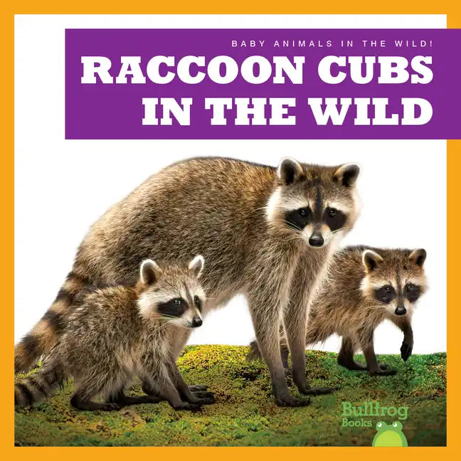 Raccoon Cubs in the Wild - Library Binding