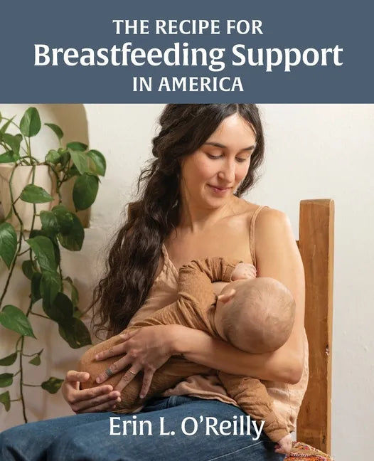 The Recipe for Breastfeeding Support in America - Paperback