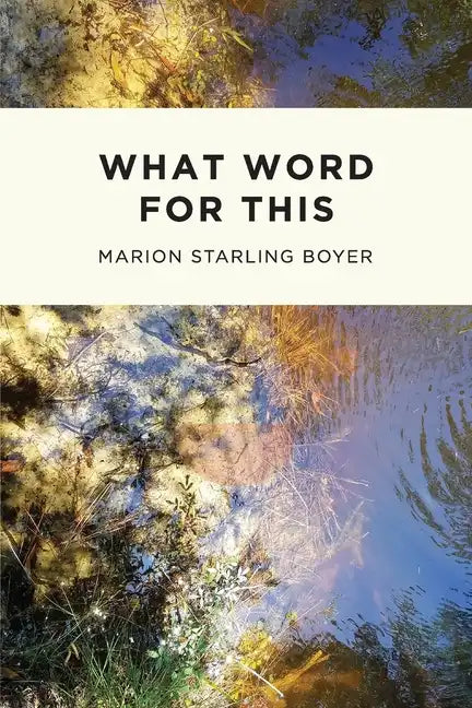 What Word for This - Paperback