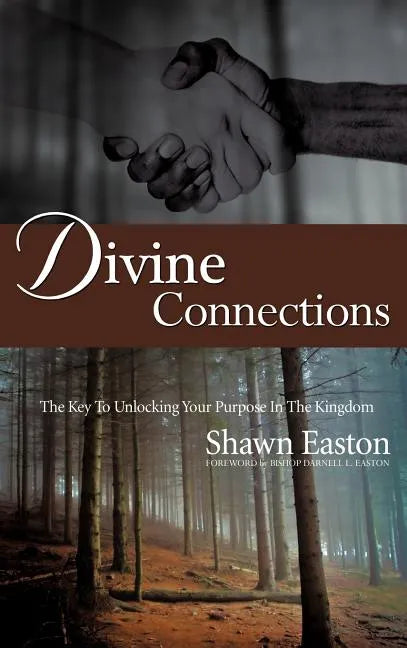 Divine Connections - Hardcover