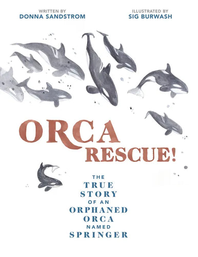 Orca Rescue!: The True Story of an Orphaned Orca Named Springer - Hardcover