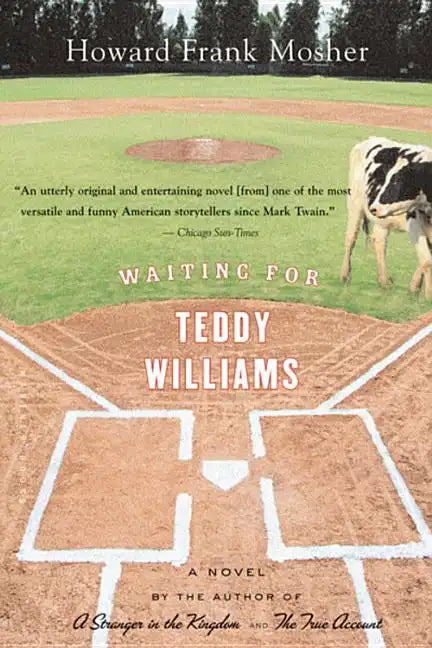 Waiting for Teddy Williams - Paperback