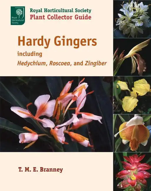 Hardy Gingers: Including Hedychium, Roscoea, and Zingiber - Paperback