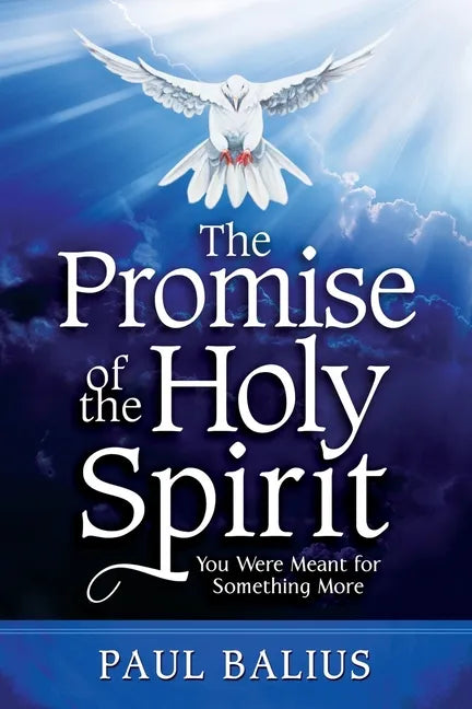 The Promise of the Holy Spirit: You Were Meant for Something More - Paperback