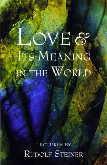 Love and Its Meaning in the World - Paperback