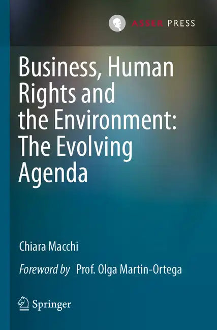 Business, Human Rights and the Environment: The Evolving Agenda - Paperback