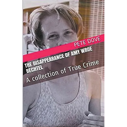 The Disappearance of Amy Wroe Bechtel - Paperback
