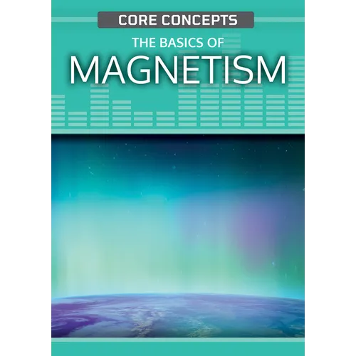 The Basics of Magnetism - Paperback