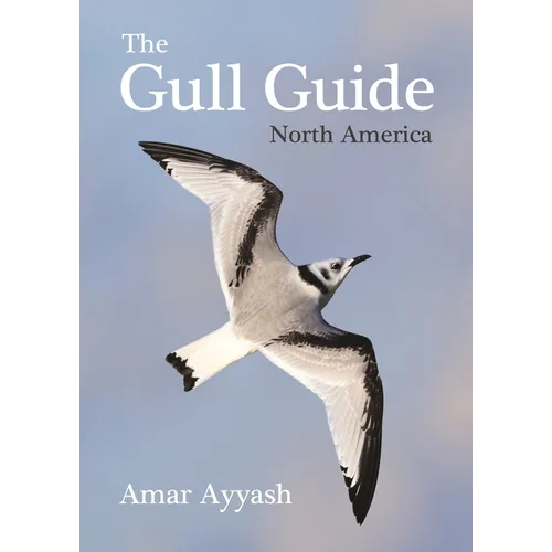 The Gull Guide: North America - Paperback