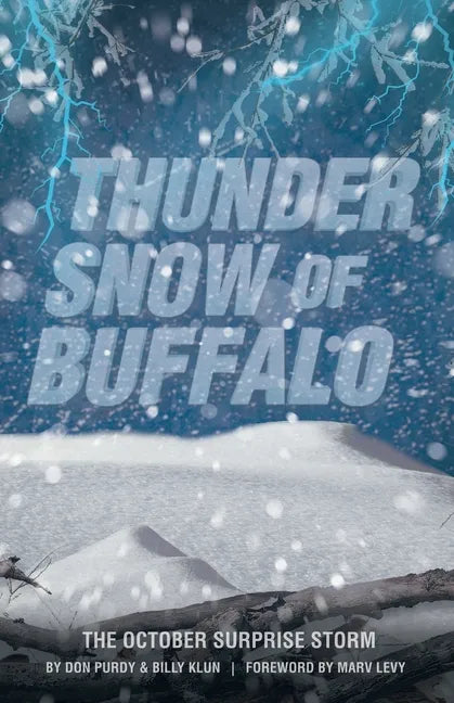 Thunder Snow of Buffalo: The October Surprise Storm - Paperback