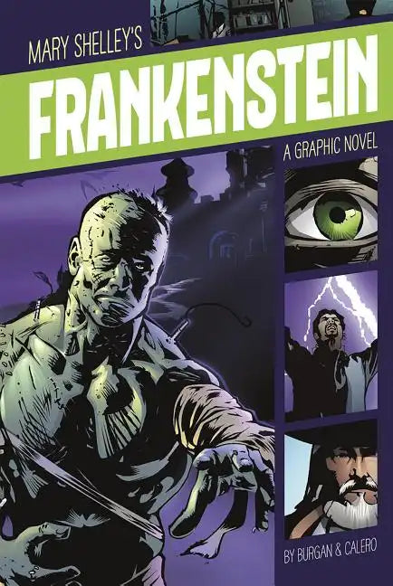 Frankenstein: A Graphic Novel - Paperback