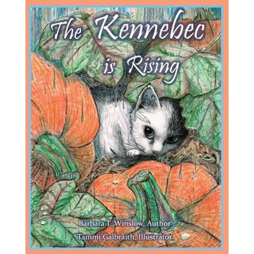 The Kennebec is Risiing - Paperback