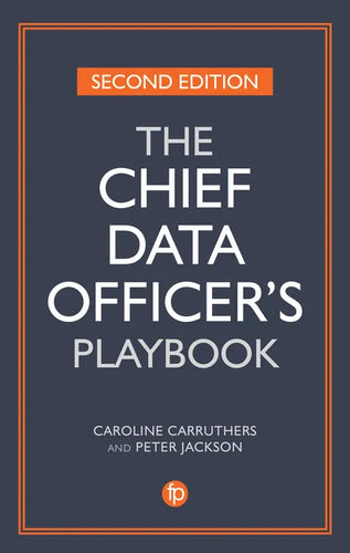 The Chief Data Officer's Playbook - Paperback
