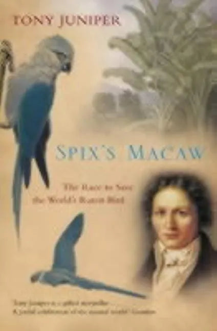 Spix's Macaw: The Race to Save the World's Rarest Bird - Paperback