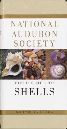 National Audubon Society Field Guide to North American Seashells - Hardcover