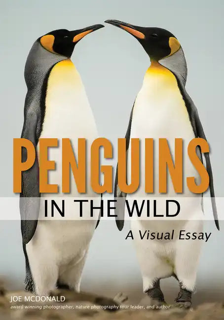 Penguins in the Wild - Paperback