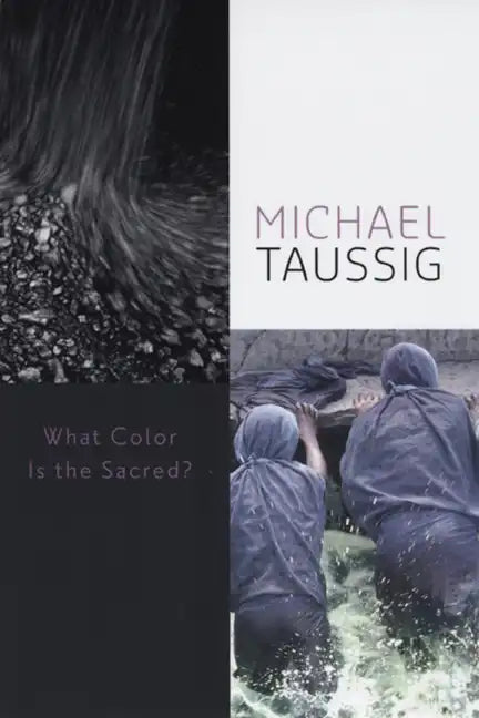 What Color Is the Sacred? - Paperback