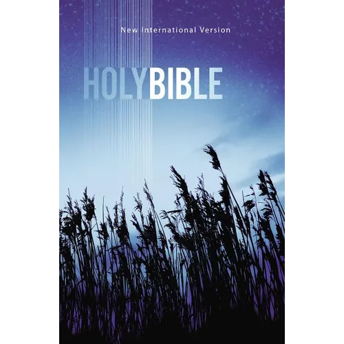 Value Outreach Bible-NIV - Paperback