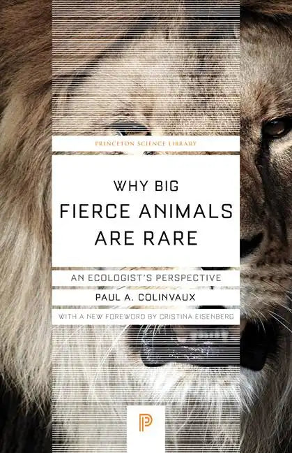 Why Big Fierce Animals Are Rare: An Ecologist's Perspective - Paperback