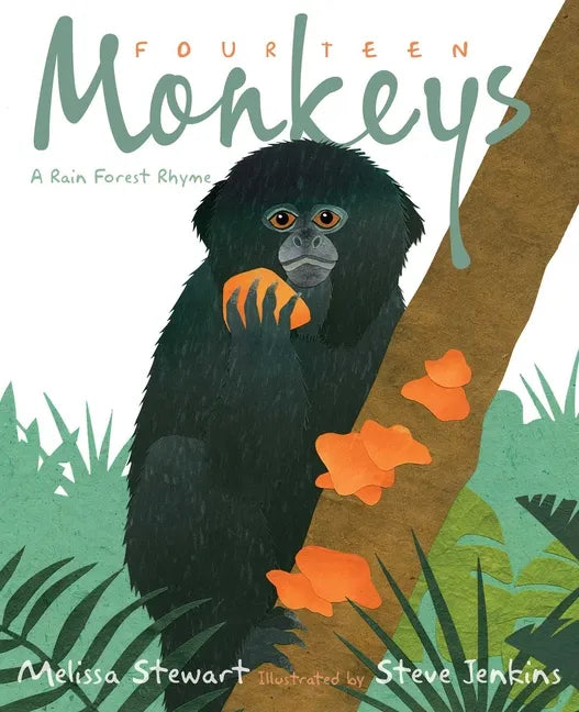 Fourteen Monkeys: A Rain Forest Rhyme - Hardcover