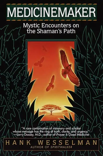 Medicinemaker: Mystic Encounters on the Shaman's Path - Paperback