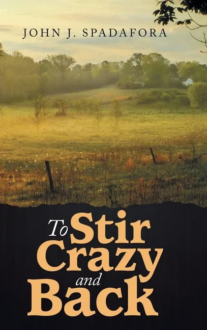 To Stir Crazy and Back - Hardcover