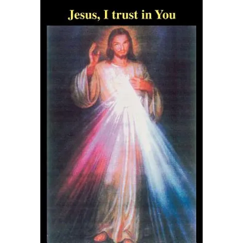 Jesus, I trust in You - Paperback