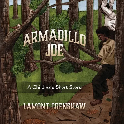Armadillo Joe: A Children's Short Story - Paperback
