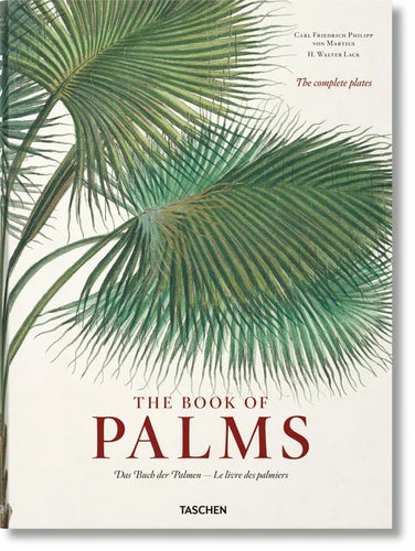 Martius. the Book of Palms - Hardcover