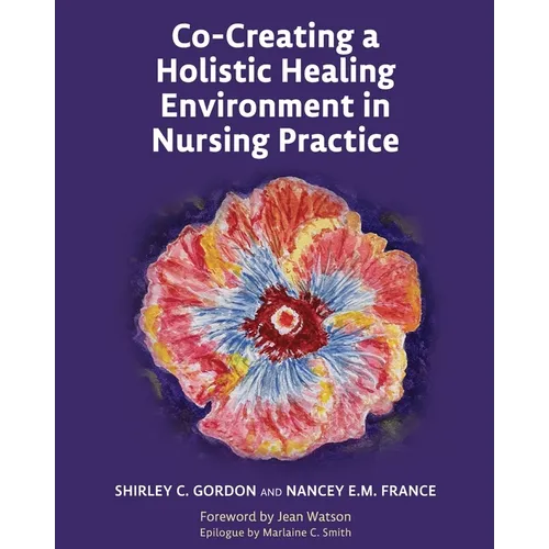 Co-Creating a Holistic Healing Environment in Nursing Practice - Paperback