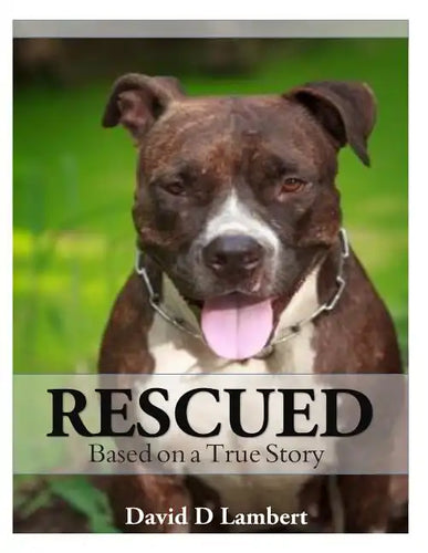 Rescued: Based on a True Dog Story - Paperback