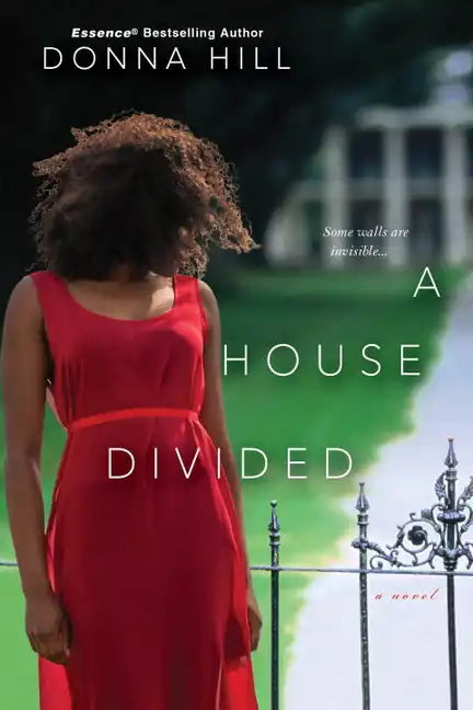 A House Divided - Paperback
