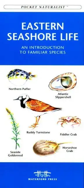 Michigan Birds - Paperback